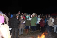 Carols Under the Stars 2017