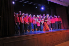 Charity Concert Somerton