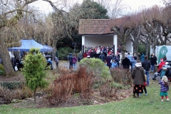 Welly concert in the park