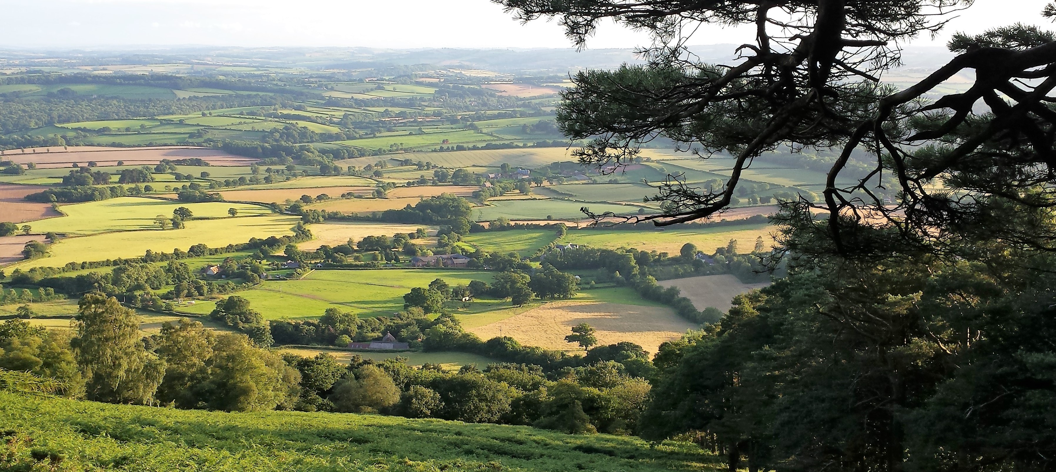 Blackdown Hills